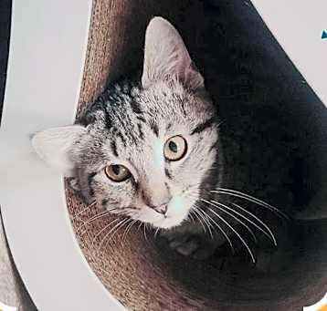 Photo of Gordy