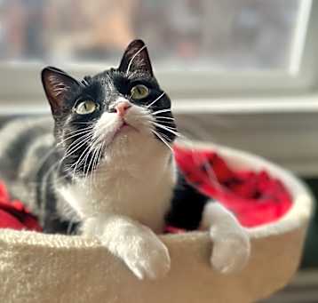 Photo of Geraldine