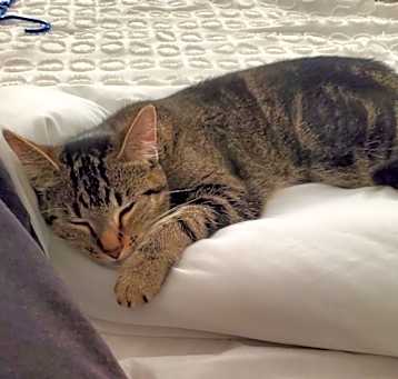 Photo of Charlie