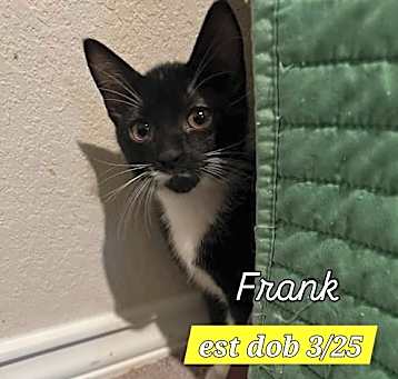 Photo of Frank