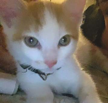 Photo of Miguel