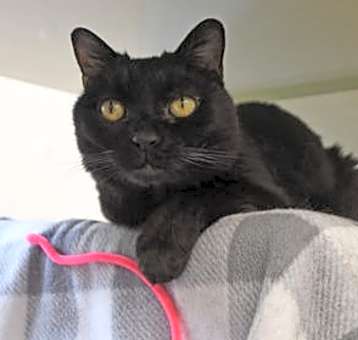 Photo of Lucky