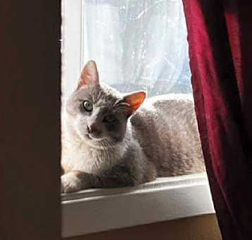 Photo of freckles
