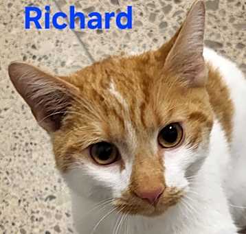 Photo of Richard