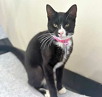 Photo of Charity