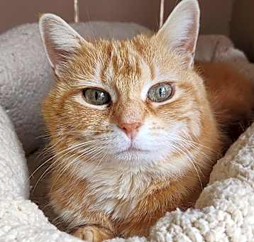 Photo of Randi