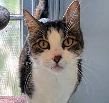 Photo of Spike