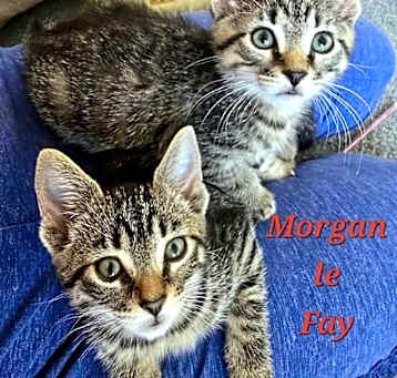 Photo of King Arthur & Morgan le Fay