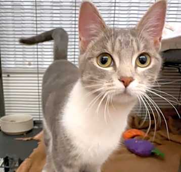 Photo of Ivy