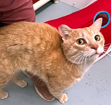 Photo of Marvin