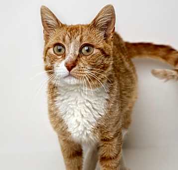 Photo of Jeri