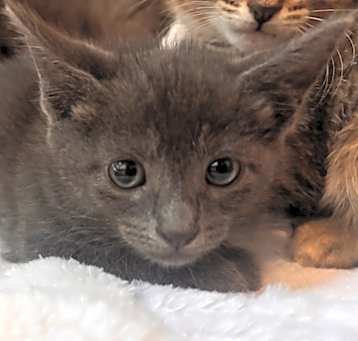 Photo of Gretta
