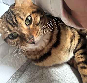 Photo of Butter