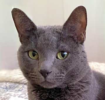 Photo of Smoky