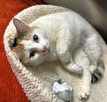 Photo of Tess