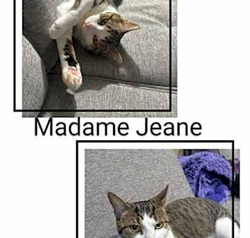 Photo of Madame Jeane