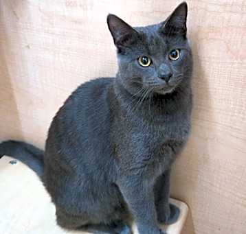Photo of Roper