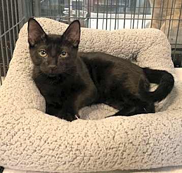 Photo of Zechariah
