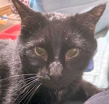Photo of Oliver