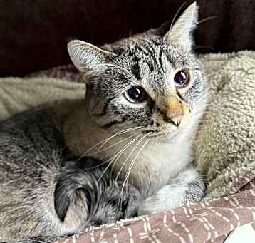 Photo of Emily Rose