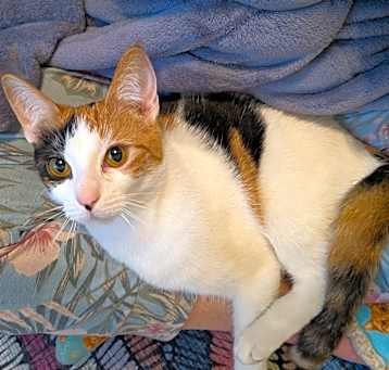 Photo of Tipsy 