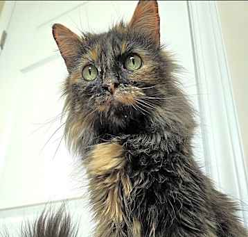 Photo of Amelia