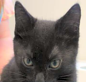 Photo of Oliver