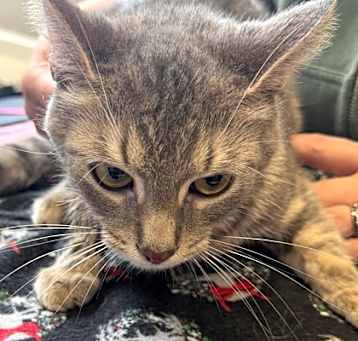 Photo of Stormy