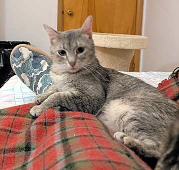 Photo of Fiona