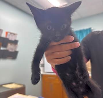 Photo of Midnight(Mall Of NH)