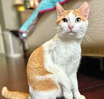Photo of Tiny