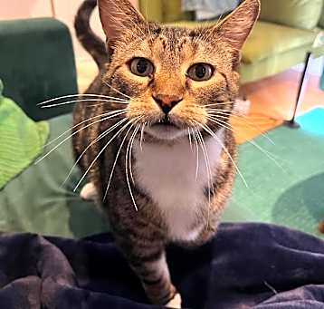 Photo of Betty