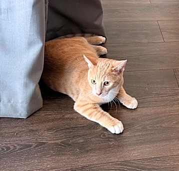 Photo of Candy