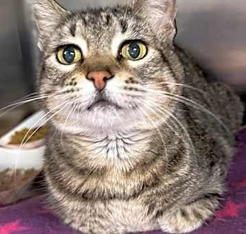Photo of Squeaky