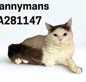 Photo of MANNYMANS