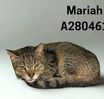 Photo of MARIAH