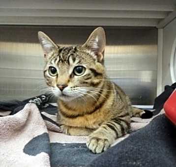 Photo of Wilfred III