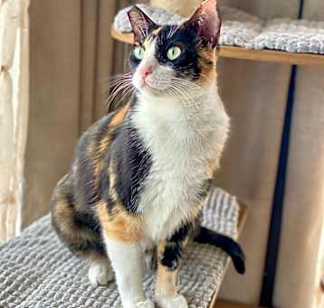 Photo of Delilah