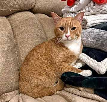 Photo of Kash