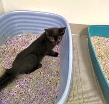 Photo of Wanda