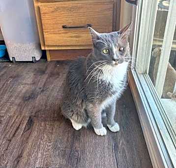 Photo of ASTER