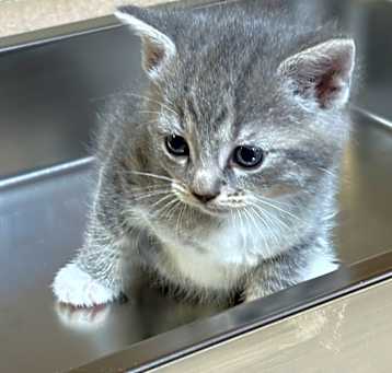 Photo of Lillian