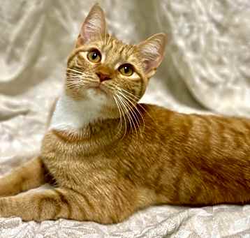 Photo of Beltane