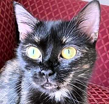 Photo of Mabel 