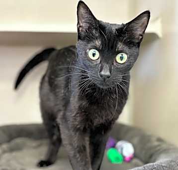 Photo of Selene