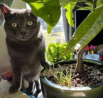 Photo of Luna