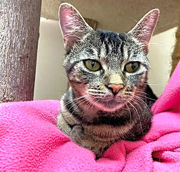 Photo of Linus