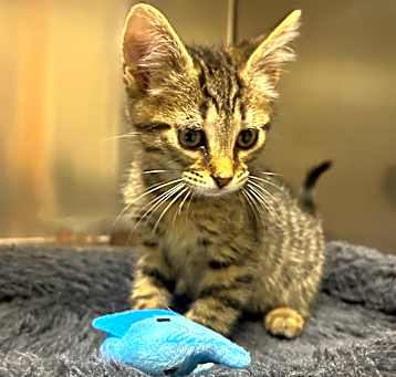 Photo of Cash
