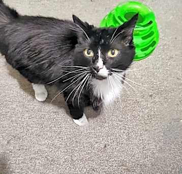 Photo of Mr. Magoo