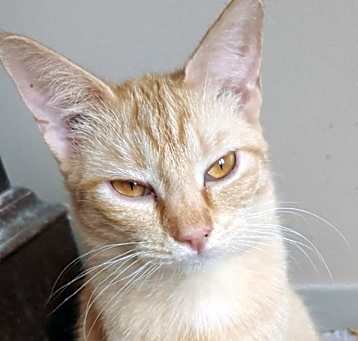 Photo of Agnes 